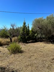 Οικόπεδο 846 τ.μ. για πώληση, Φωκίδα, Ευπάλιο-thumb-7