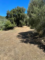Οικόπεδο 846 τ.μ. για πώληση, Φωκίδα, Ευπάλιο-thumb-11