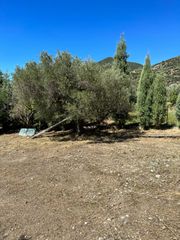 Οικόπεδο 846 τ.μ. για πώληση, Φωκίδα, Ευπάλιο-thumb-14