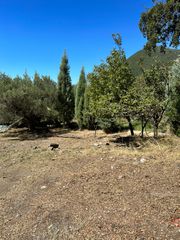 Οικόπεδο 846 τ.μ. για πώληση, Φωκίδα, Ευπάλιο-thumb-15