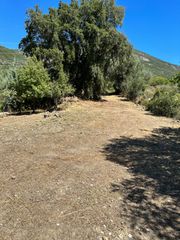 Οικόπεδο 846 τ.μ. για πώληση, Φωκίδα, Ευπάλιο-thumb-16