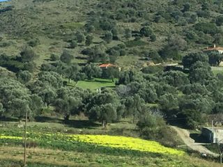 Οικόπεδο 2.380 τ.μ. για πώληση