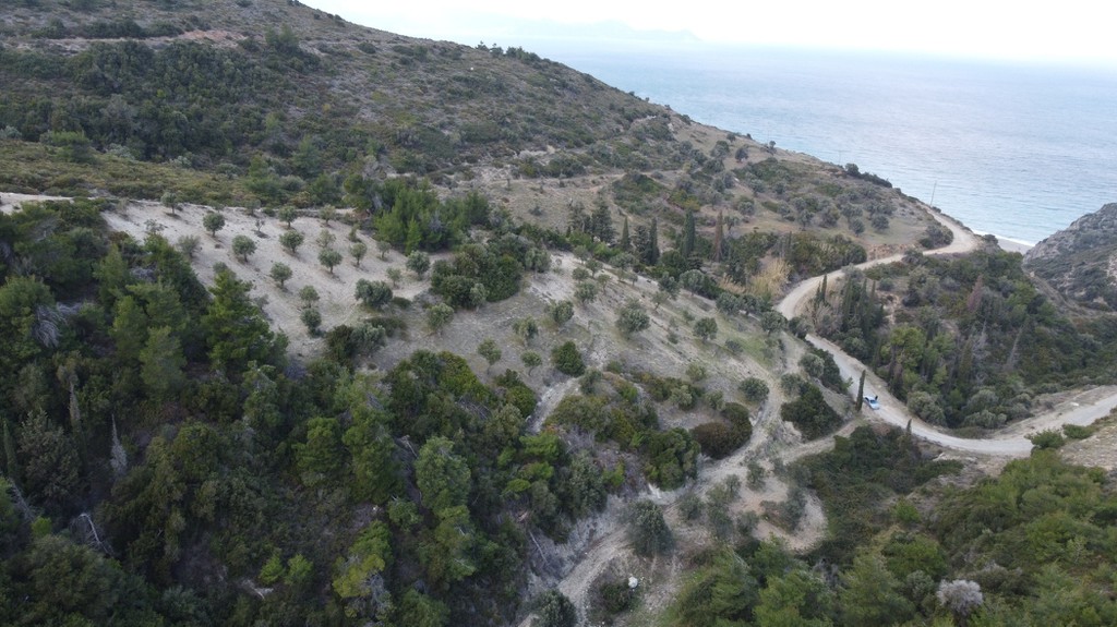 Αγροτεμάχια 11.000 τ.μ. πρός πώληση, Εύβοια, Αυλώνα