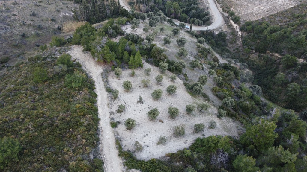 Αγροτεμάχια 11.000 τ.μ. πρός πώληση, Εύβοια, Αυλώνα