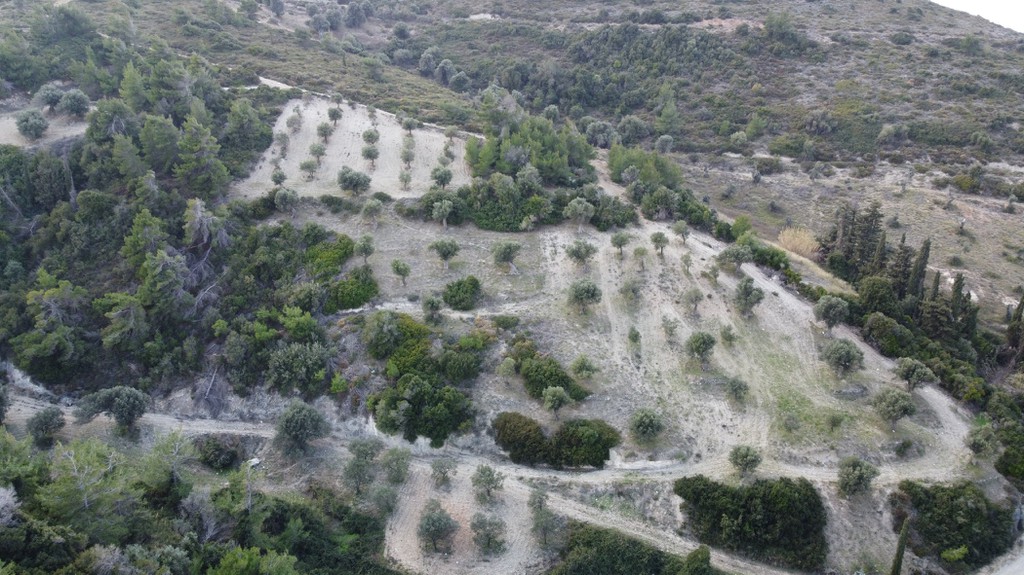 Αγροτεμάχια 11.000 τ.μ. πρός πώληση, Εύβοια, Αυλώνα