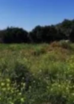 Land plot 1.410sqm for sale-Saronida