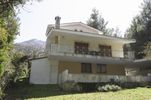 Μονοκατοικία 242τ.μ. για πώληση-Διόνυσος » Κέντρο