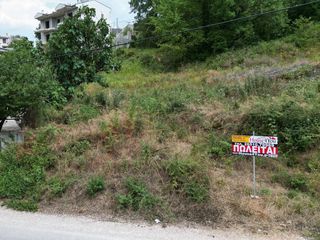 Οικόπεδο 689 τ.μ. για πώληση, Ν. Ιωαννίνων, Ιωάννινα-thumb-6