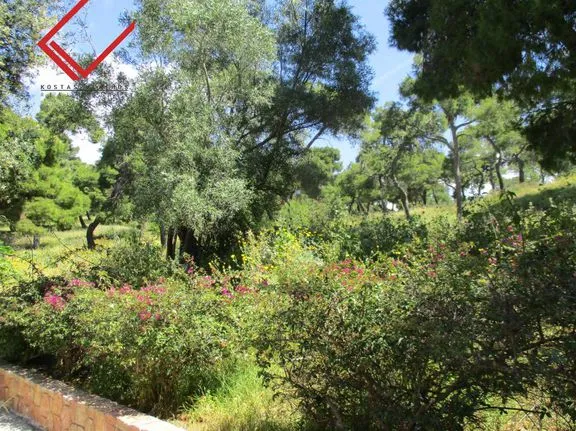 Land plot 610 sqm for sale, Athens - South, Vari - Varkiza