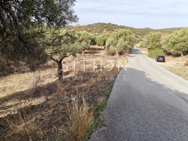 Αγροτεμάχια 1.151 τ.μ. προς πώληση, Δεστενίκα