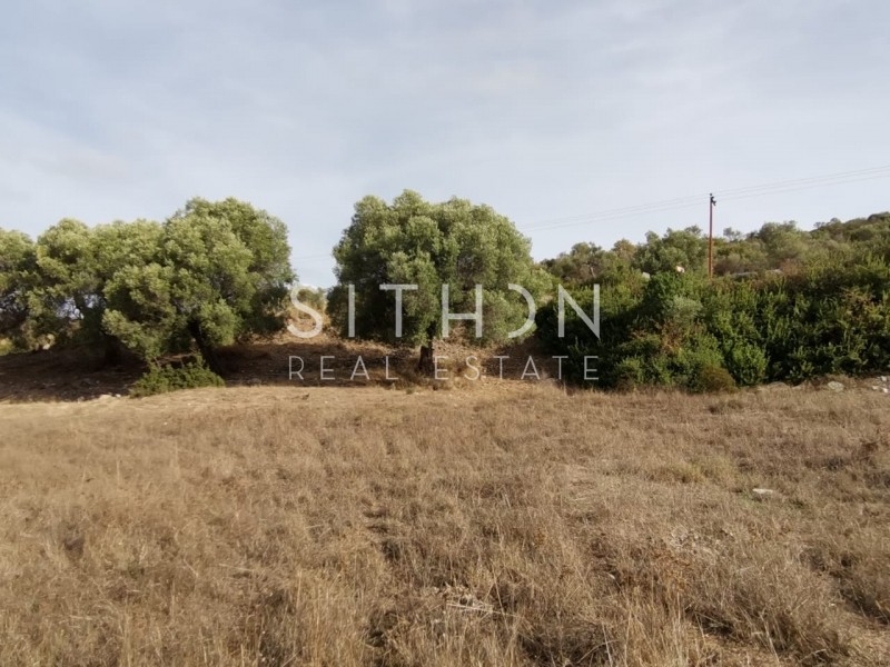 Αγροτεμάχια 1.151 τ.μ. προς πώληση, Δεστενίκα