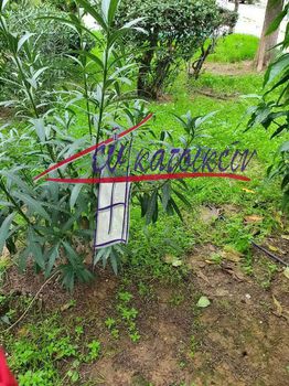 Land plot 588 sqm for sale