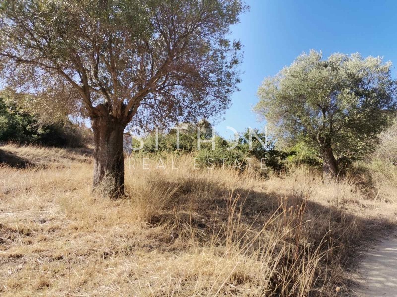 Αγροτεμάχια 941 τ.μ. προς πώληση, Συκιά Τορώνης