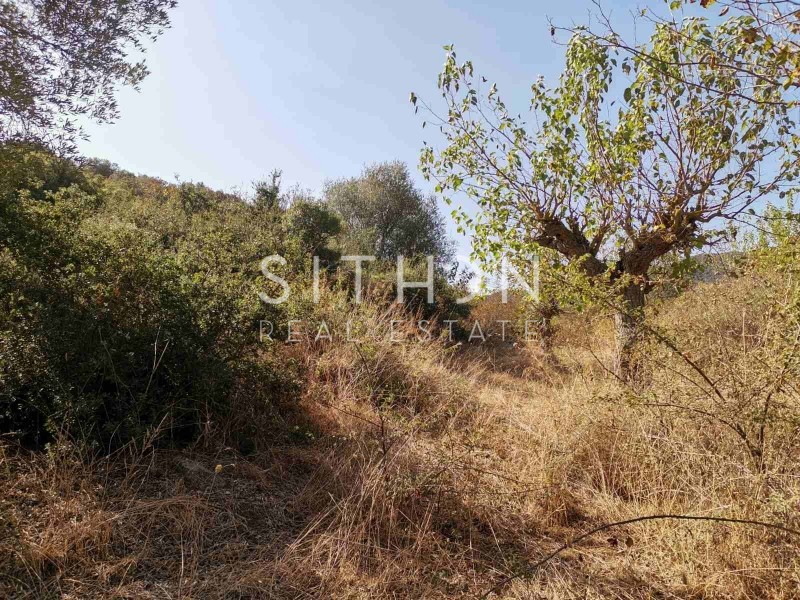 Αγροτεμάχια 941 τ.μ. προς πώληση, Συκιά Τορώνης