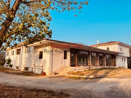 Βιοτεχνικός χώρος 1.200 τ.μ. για ενοικίαση