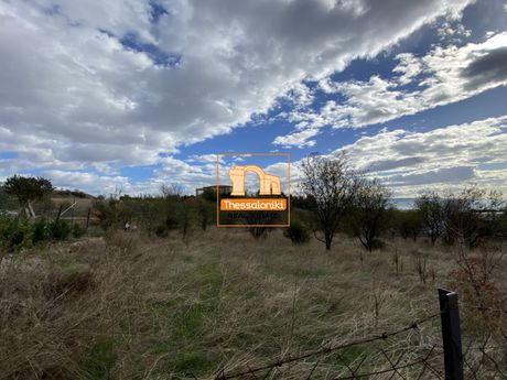Αγροτεμάχια 5.100τ.μ. για πώληση-Ωραιόκαστρο » Αμφιθέα