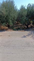 Αγροτεμάχια 3.000 τ.μ. για πώληση, Ν. Ηρακλείου, Τύλισος-thumb-4