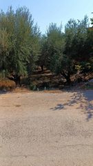 Αγροτεμάχια 3.000 τ.μ. για πώληση, Ν. Ηρακλείου, Τύλισος-thumb-5