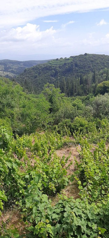 Οικόπεδο 1.510 τ.μ. προς πώληση, Ν. Λευκάδας, Λευκάδα