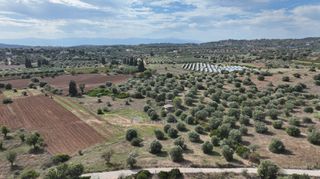 Αγροτεμάχια 6.000 τ.μ. για πώληση, Αργολίδα, Κρανίδι-thumb-9