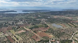 Αγροτεμάχια 6.000 τ.μ. για πώληση, Αργολίδα, Κρανίδι-thumb-12