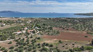 Αγροτεμάχια 6.000 τ.μ. για πώληση, Αργολίδα, Κρανίδι-thumb-18