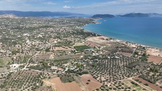 Αγροτεμάχια 6.000 τ.μ. για πώληση, Αργολίδα, Κρανίδι-thumb-19