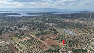 Αγροτεμάχια 6.000 τ.μ. για πώληση, Αργολίδα, Κρανίδι-thumb-3