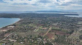 Αγροτεμάχια 6.000 τ.μ. για πώληση, Αργολίδα, Κρανίδι-thumb-8