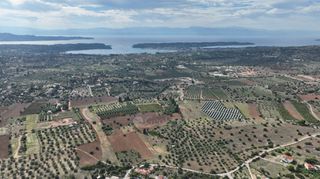 Αγροτεμάχια 6.000 τ.μ. για πώληση, Αργολίδα, Κρανίδι-thumb-14