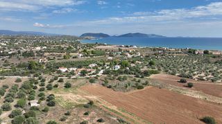 Αγροτεμάχια 6.000 τ.μ. για πώληση, Αργολίδα, Κρανίδι-thumb-22