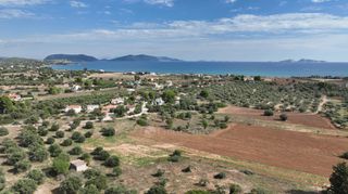 Αγροτεμάχια 6.000 τ.μ. για πώληση, Αργολίδα, Κρανίδι-thumb-20