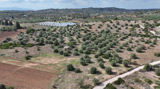 Αγροτεμάχια 6.000 τ.μ. για πώληση, Αργολίδα, Κρανίδι-thumb-16