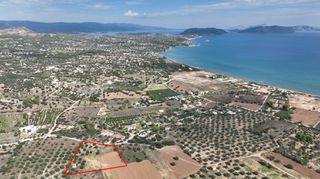 Αγροτεμάχια 6.000 τ.μ. για πώληση, Αργολίδα, Κρανίδι-thumb-1