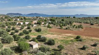 Αγροτεμάχια 6.000 τ.μ. για πώληση, Αργολίδα, Κρανίδι-thumb-13