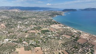 Αγροτεμάχια 6.000 τ.μ. για πώληση, Αργολίδα, Κρανίδι-thumb-4
