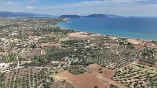 Αγροτεμάχια 6.000 τ.μ. για πώληση, Αργολίδα, Κρανίδι-thumb-7
