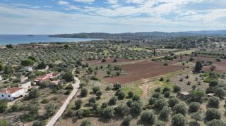 Αγροτεμάχια 6.000 τ.μ. για πώληση, Αργολίδα, Κρανίδι-thumb-2