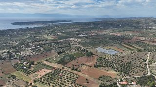 Αγροτεμάχια 6.000 τ.μ. για πώληση, Αργολίδα, Κρανίδι-thumb-11