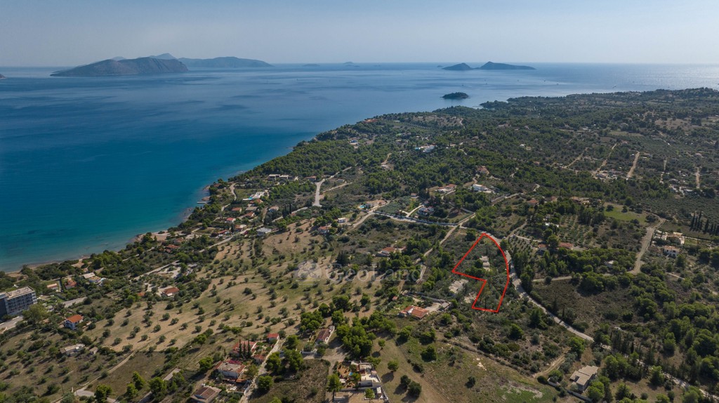 Αγροτεμάχια 4.000 τ.μ. προς πώληση, Αργολίδα, Κρανίδι