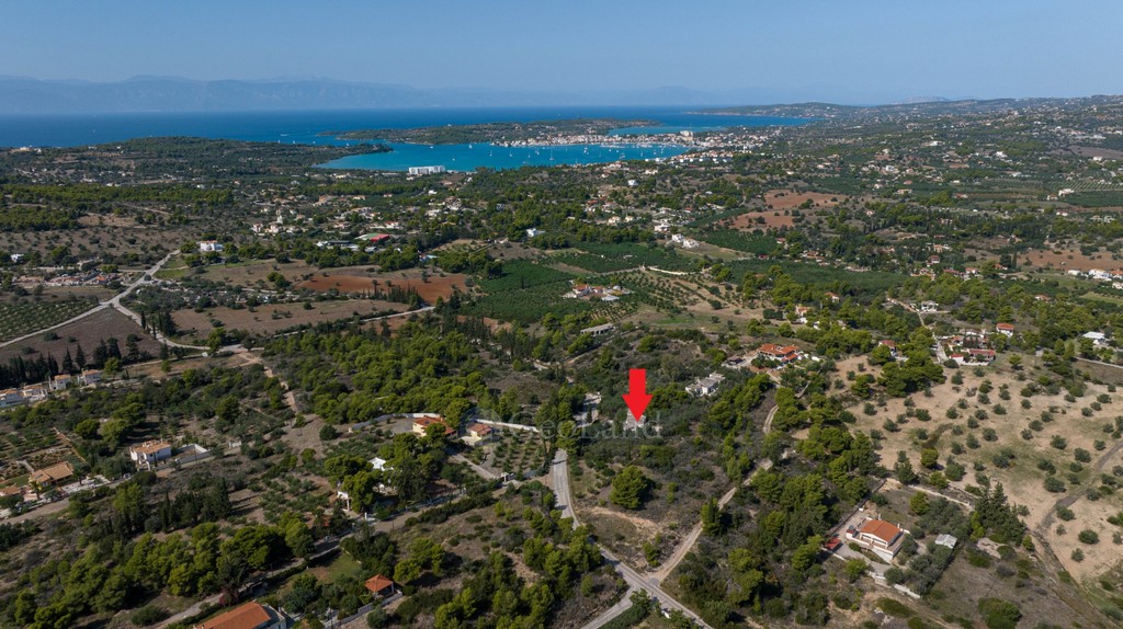 Αγροτεμάχια 4.000 τ.μ. προς πώληση, Αργολίδα, Κρανίδι