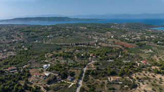 Αγροτεμάχια 4.000 τ.μ. πρός πώληση, Αργολίδα, Κρανίδι-thumb-11