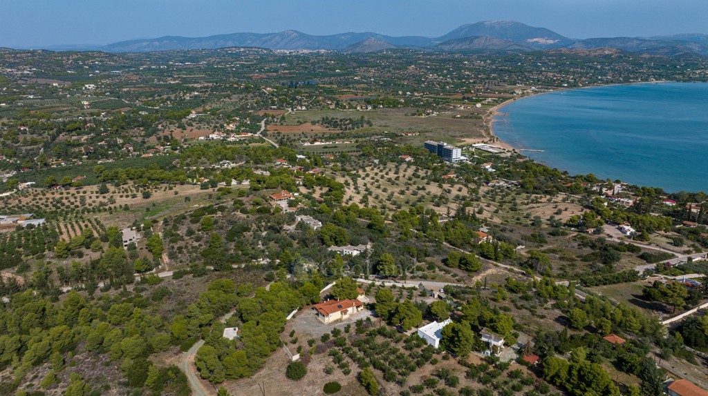 Αγροτεμάχια 4.000 τ.μ. προς πώληση, Αργολίδα, Κρανίδι