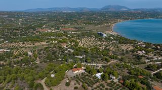 Αγροτεμάχια 4.000 τ.μ. πρός πώληση, Αργολίδα, Κρανίδι-thumb-4