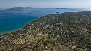 Αγροτεμάχια 4.000 τ.μ. πρός πώληση, Αργολίδα, Κρανίδι-thumb-9