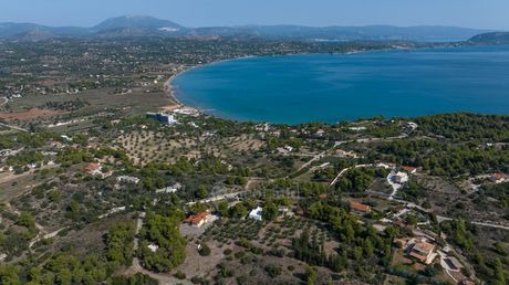 Αγροτεμάχια 4.000 τ.μ. για πώληση