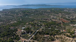 Αγροτεμάχια 4.000 τ.μ. πρός πώληση, Αργολίδα, Κρανίδι-thumb-12