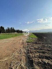 Αγροτεμάχια 33.100 τ.μ. για πώληση