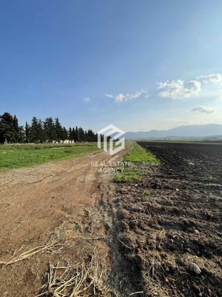 Αγροτεμάχια 33.100 τ.μ. για πώληση, Βοιωτία, Θήβα