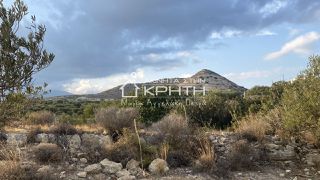Οικόπεδο 7.800 τ.μ. για πώληση, Ν. Λασιθίου, Ιεράπετρα-thumb-4